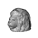 Lion head