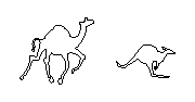 Camel_kangaroo