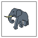 ELEPHANT6