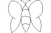 butterfly