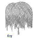 3D_Tree_Elevation