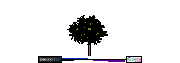 01_Trees_Elevation_Colour_Tree03