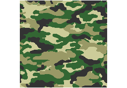 Military