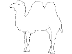 camel.dwg