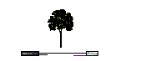 Trees_Elevation_Colour_Tree01.dwg
