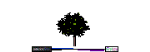 Trees_Elevation_Colour_Tree03.dwg