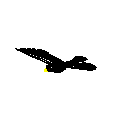 Bird4.rfa