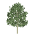 a_tree3.rfa, 19.06.2025 22:27:02