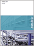 AutoCAD 2007
