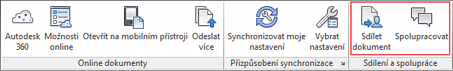 Online ribbon (CZ version)