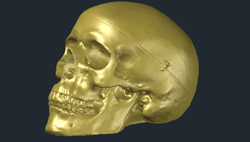 DOWNLOAD Skull.dwg