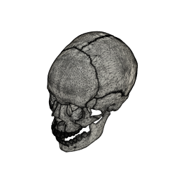 DOWNLOAD Skull_v2.f3d