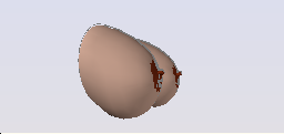 DOWNLOAD tits.dwg
