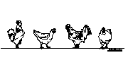 DOWNLOAD Animal_cad_block_-_plan_-_chicken_001.dwg