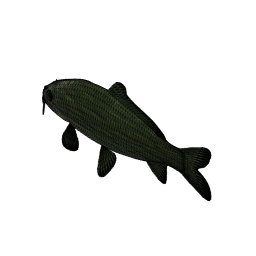 DOWNLOAD Carp3D.f3d