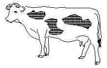 DOWNLOAD Krava2D.dwg