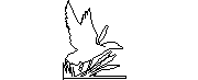 DOWNLOAD duck_441.dwg