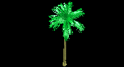 DOWNLOAD 3d-palm.dwg