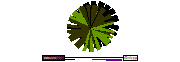DOWNLOAD 64_Tree_Plan_with_shadow_03.dwg