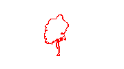 DOWNLOAD Cinnamomum_riparium_Nees.kamlesh.dwg