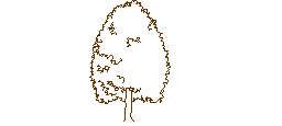 DOWNLOAD DYNAMIC_TREES_&_SHRUBS-ELEVATION.dwg