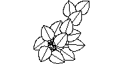 DOWNLOAD Fikus_top.dwg