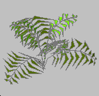 DOWNLOAD Kapradi.dwg