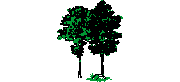 DOWNLOAD Landscaping-Trees-Fm.dwg