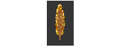 DOWNLOAD POPULUS_NIGRA.dwg