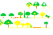 DOWNLOAD TREES_28.dwg