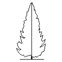 Tree_Conifer.rfa