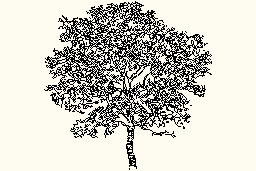 DOWNLOAD Tree16.dwg