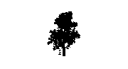 DOWNLOAD Tree3d.dwg