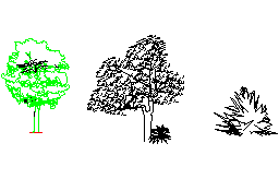 DOWNLOAD Tree_001.dwg