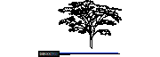 DOWNLOAD Trees_Elevation_Tree01.dwg
