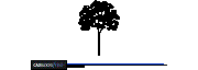 DOWNLOAD Trees_Elevation_Tree02.dwg