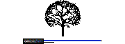 DOWNLOAD Trees_Elevation_Tree03.dwg