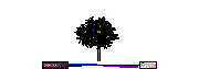 DOWNLOAD Trees_Elevation_Colour_Tree03.dwg