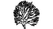 DOWNLOAD Vrba.dwg