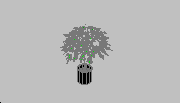 DOWNLOAD arbol3d31.DWG