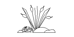 DOWNLOAD arbust_2_0.dwg