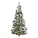 arquitree01_conifer_SCALABLE.rfa