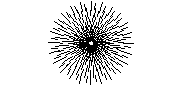 DOWNLOAD cone-shaped_tree_plan.dwg