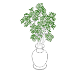 interior_flower_plant-6.rfa
