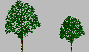 DOWNLOAD twoTREES.dwg