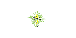DOWNLOAD zitree_-_Bamboo_plan.dwg