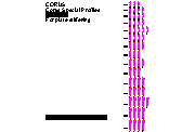 DOWNLOAD CORUS_BULB_PROFILES.dwg