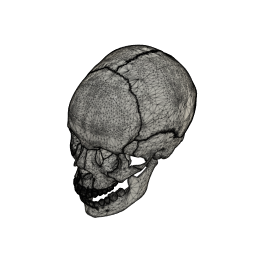 DOWNLOAD Skull_v2.f3d Skull v2