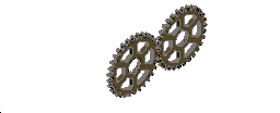 Spur Gear