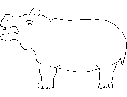 Hippo